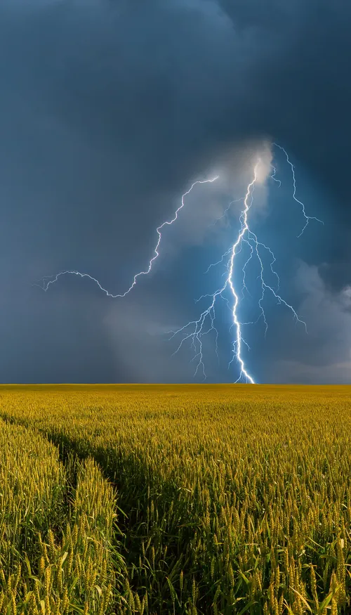 Orages : l’Alsace placée en vigilance jaune pour la journée