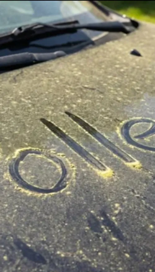 Allergies au pollen : une hausse inquiétante qui pourrait peser sur...