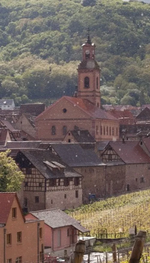 À Riquewihr, la "rue du silence" pour préserver la tranquillité des...