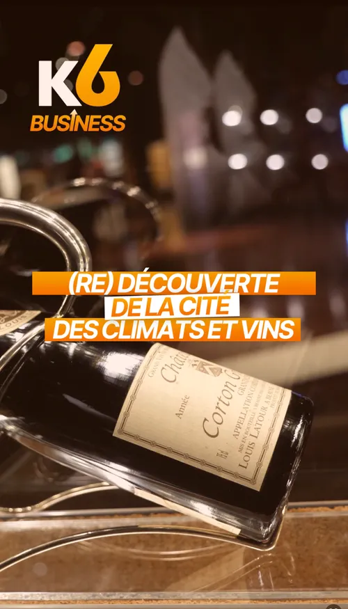 (Re) Découvrez la cité des climats et vins de Bourgogne 🍷