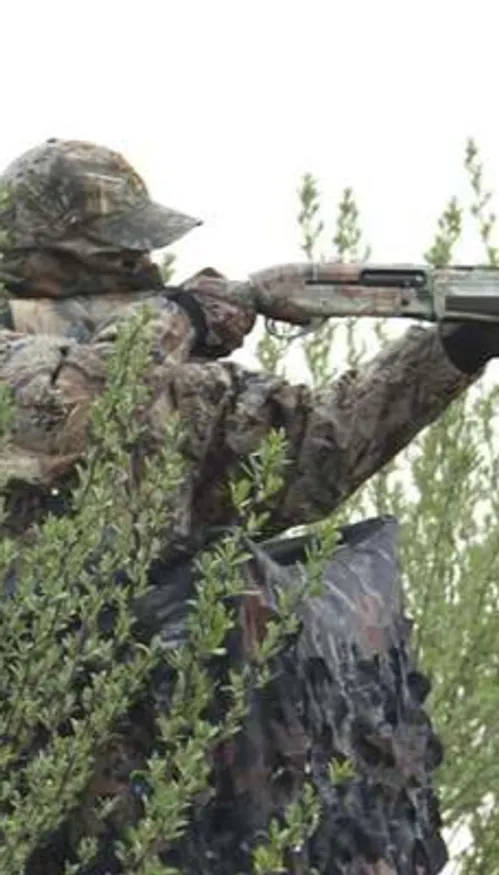 Peu d'accidents de chasse dans les Hauts-de-France cette année