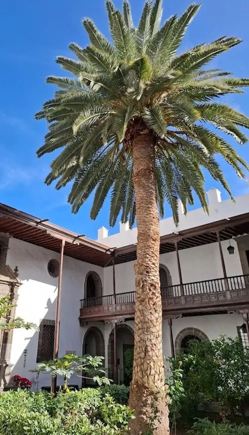 Las Palmas, le printemps toute l'année aux Canaries