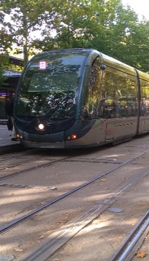 Tram, bus,  Le Bato : aucun transport TBM ne fonctionnera ce 1er mai