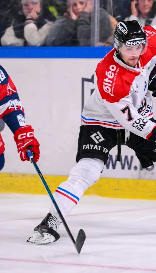 Boxers de Bordeaux : le calendrier de la saison 2026/2027 de Ligue...