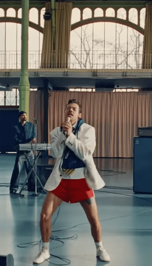Harry Styles dévoile son dernier clip... et surprise, il a été...