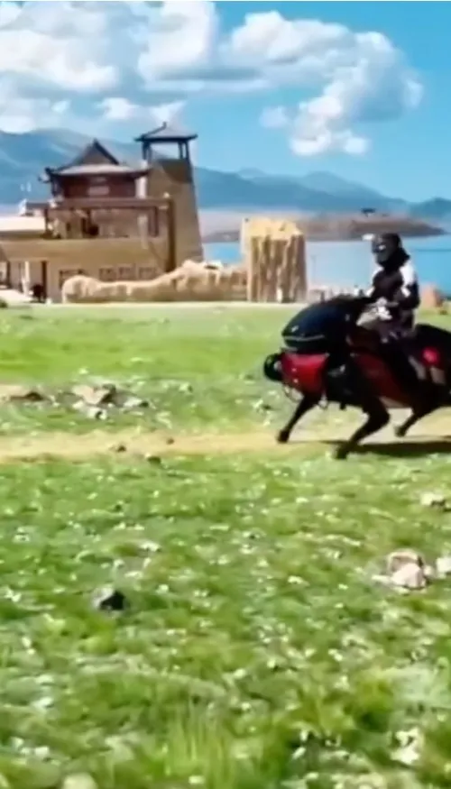 La Chine dévoile un cheval robotisé capable de transporter des humains