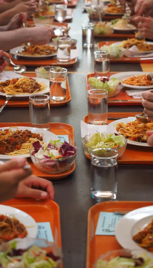 Dans une commune de Gironde, les restes de cantine nourrissent...