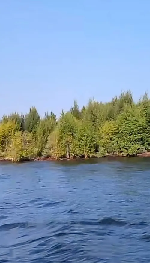 Au Canada, une île mystérieuse apparaît sur un lac avant de...