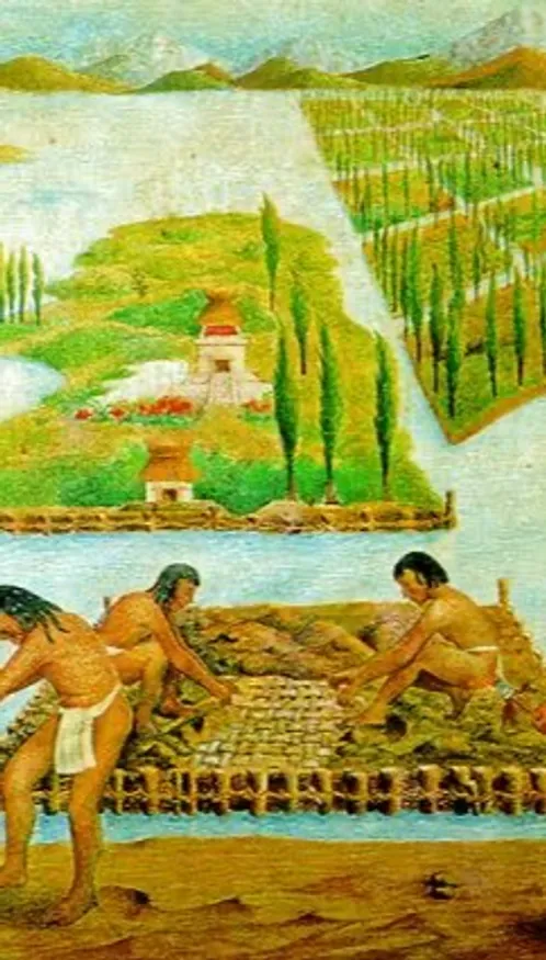 Le savoir maya aide les agriculteurs à se passer des pesticides