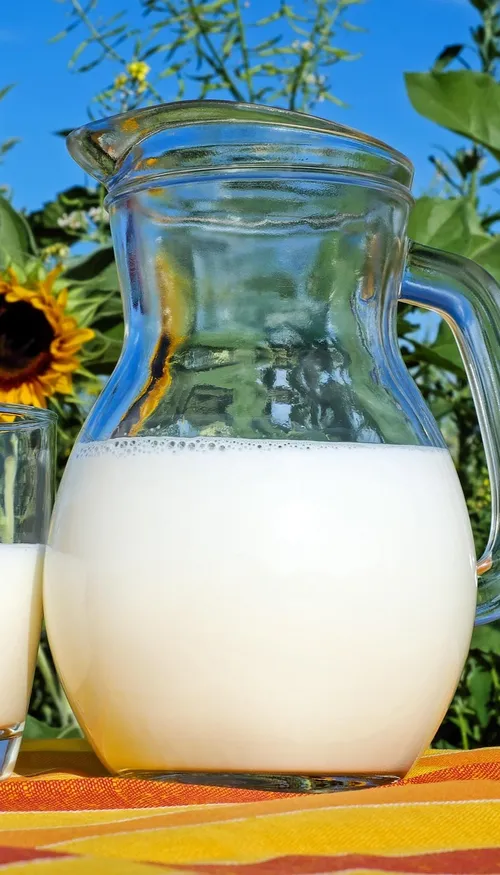 Canicule : le lait, allié inattendu pour mieux s’hydrater