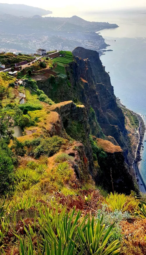Madère, une île qui fait rêver