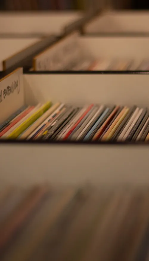 Un Britannique condamné pour 15 000 vinyles contrefaits