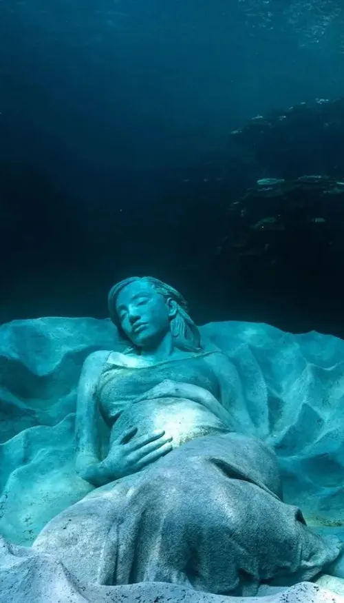 Ocean Gaia : quand l’art devient refuge pour le milieu aquatique