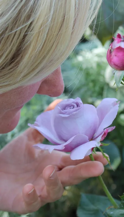 Un nouveau test d’odorat pour détecter Alzheimer ! 