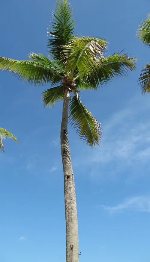 Escapade à Las Galeras, le village où la route s'arrête