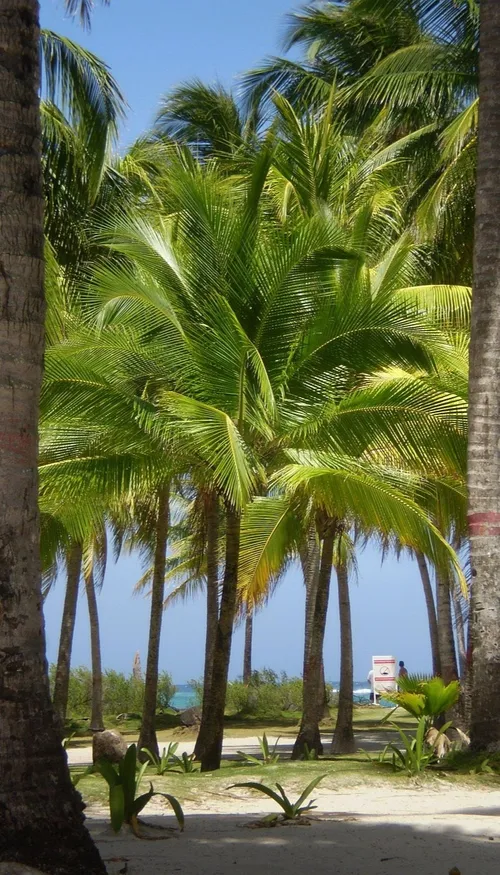 Escapade à San Andrés, l'île aux sept couleurs