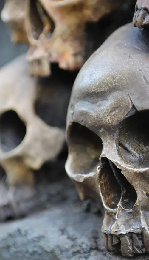  Le squelette de d’Artagnan retrouvé ? 