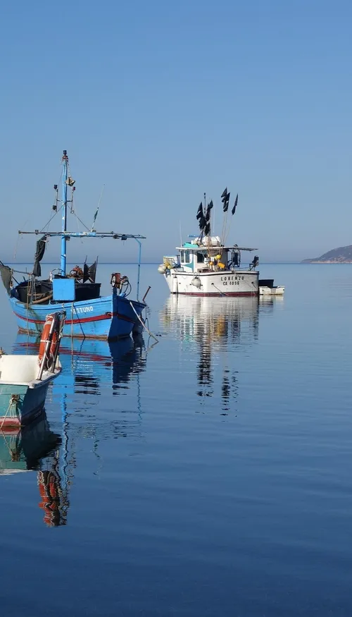 Zones bleues : pourquoi vit-on plus longtemps dans certains...