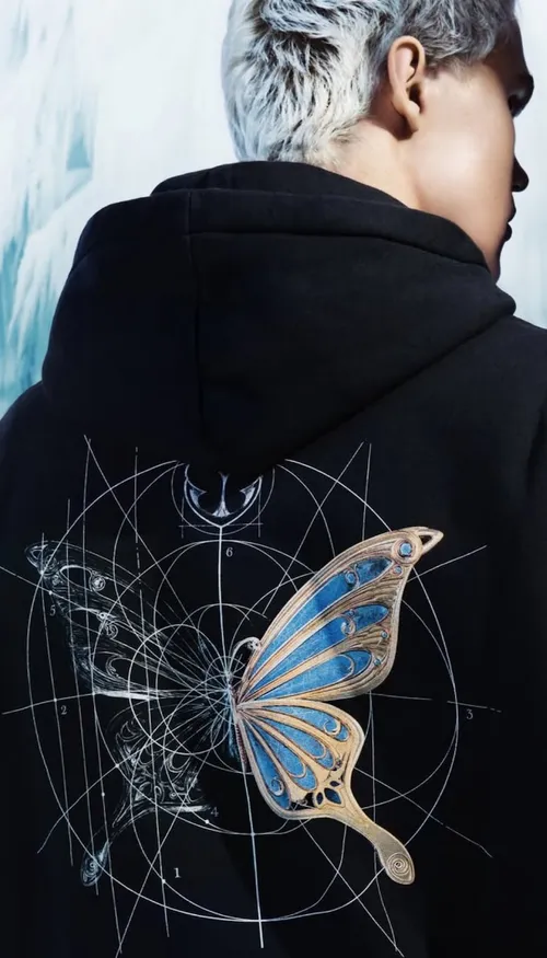 Tomorrowland Winter 2026 : le thème de la mainstage révélé