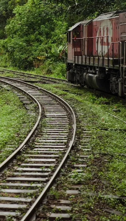 Brésil : un road trip sans train (ou presque)