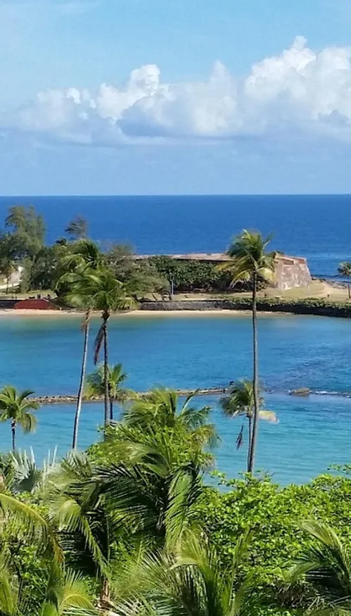 Porto Rico, sur les traces de Bad Bunny