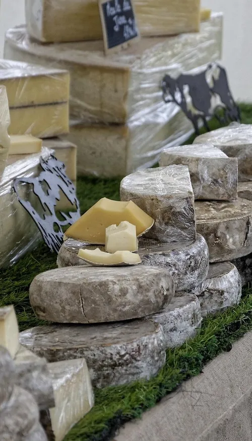 Les produits laitiers entiers réhabilités par une nouvelle étude