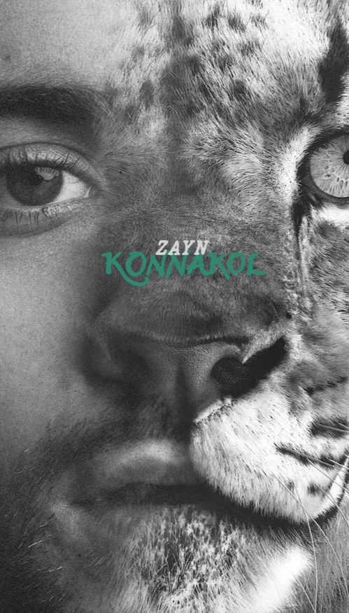 L’ex One direction, Zayn Malik annule sa tournée après son...