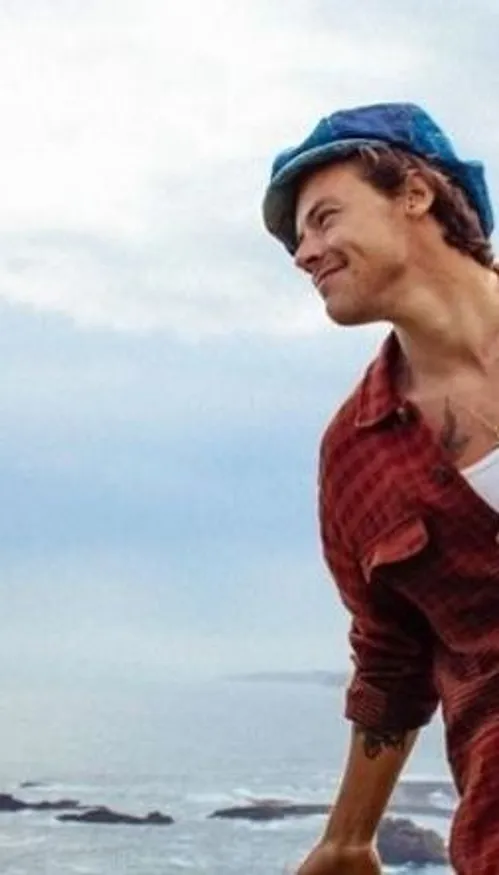 Harry Styles prive une célèbre équipe de foot de son stade