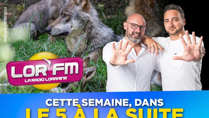 5 a la suite